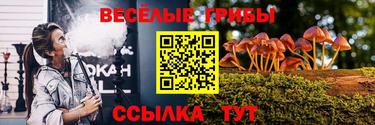 Псилоцибиновые грибы мицелий  Вход с VPN  купить наркоту  Орехово-Зуево 