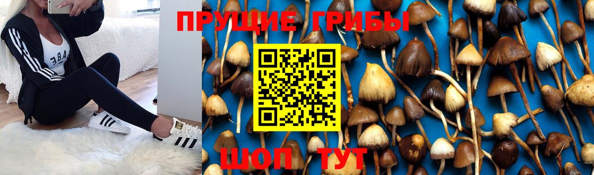 Псилоцибиновые грибы ЛСД Орехово-Зуево